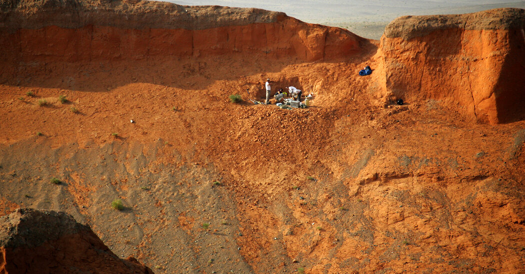 A New Exhibition at New York’s Natural History Museum Honors Fossil Hunters