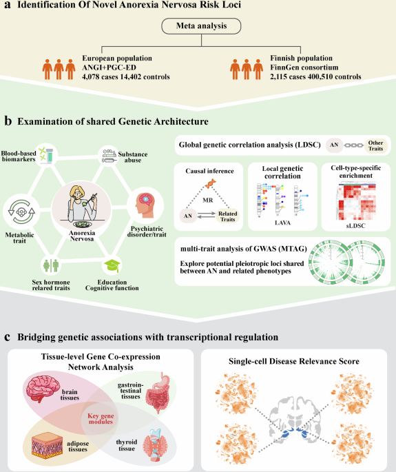 Integrative GWAS identifies novel loci and genetic links between psychiatric and metabolic factors in anorexia nervosa