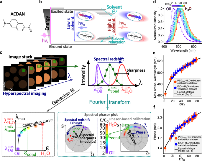 Fluorescence-based mapping of condensate dielectric permittivity uncovers hydrophobicity-driven membrane interactions