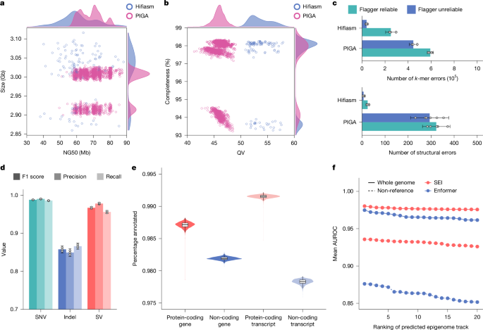 The 1000 Chinese Pangenome empowers medical and population genetics