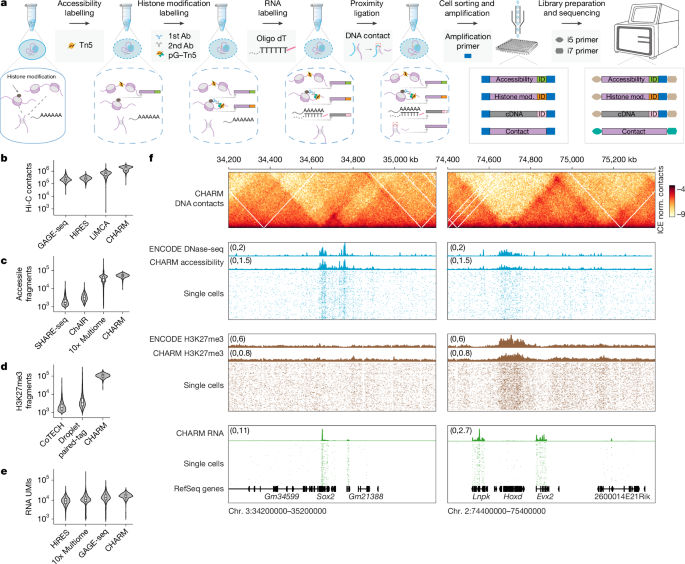 Gene regulatory landscape dissected by single-cell four-omics sequencing