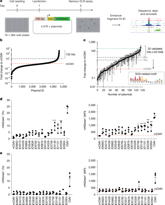 Synthetic super-enhancers enable precision viral immunotherapy