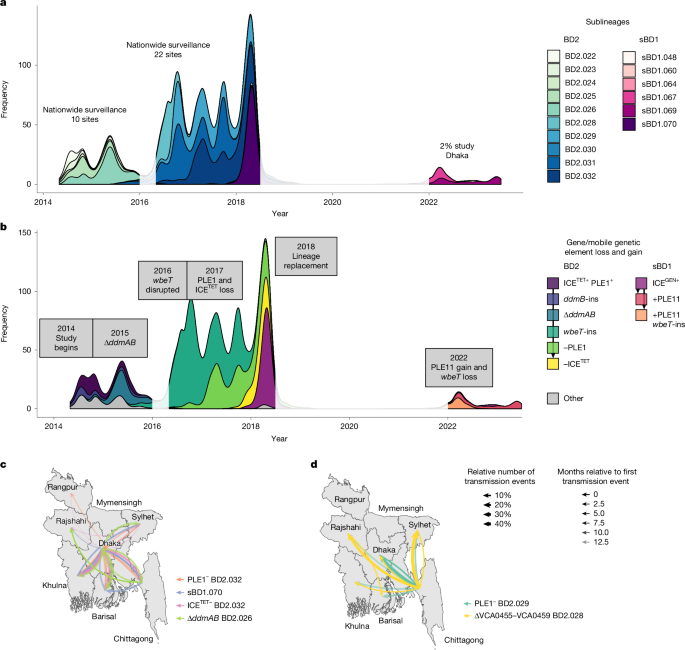 Evolution of pandemic cholera at its global source