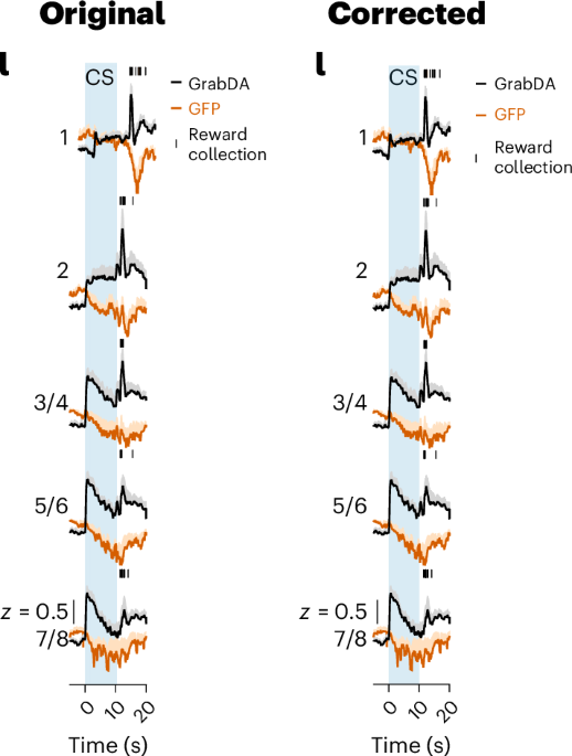 Author Correction: Dopamine projections to the basolateral amygdala drive the encoding of identity-specific reward memories