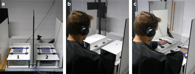 Sensing vs. seeing: body experience rather than mere body observation is linked to efficiency of descending pain modulation