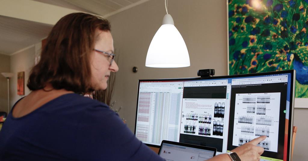 How to be a science sleuth | Careers