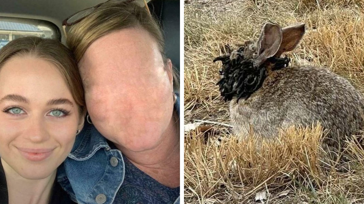 “Headless Woman”: Prepare To Have A Bad Night’s Sleep After Scrolling Through These 63 Creepy Pics