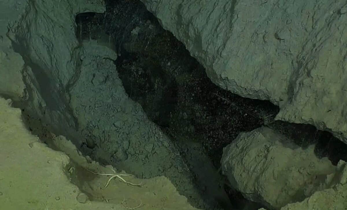 Scientists Found Strange “Modern” Structures on the Arctic Seafloor That Should Not Physically Exist