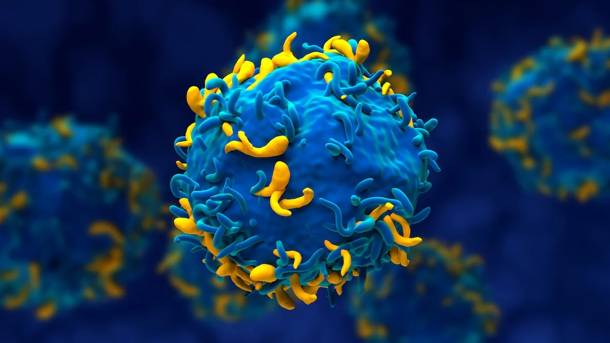 Woman With 3 Autoimmune Diseases Enters Remission After Immune ‘Reset’ : ScienceAlert