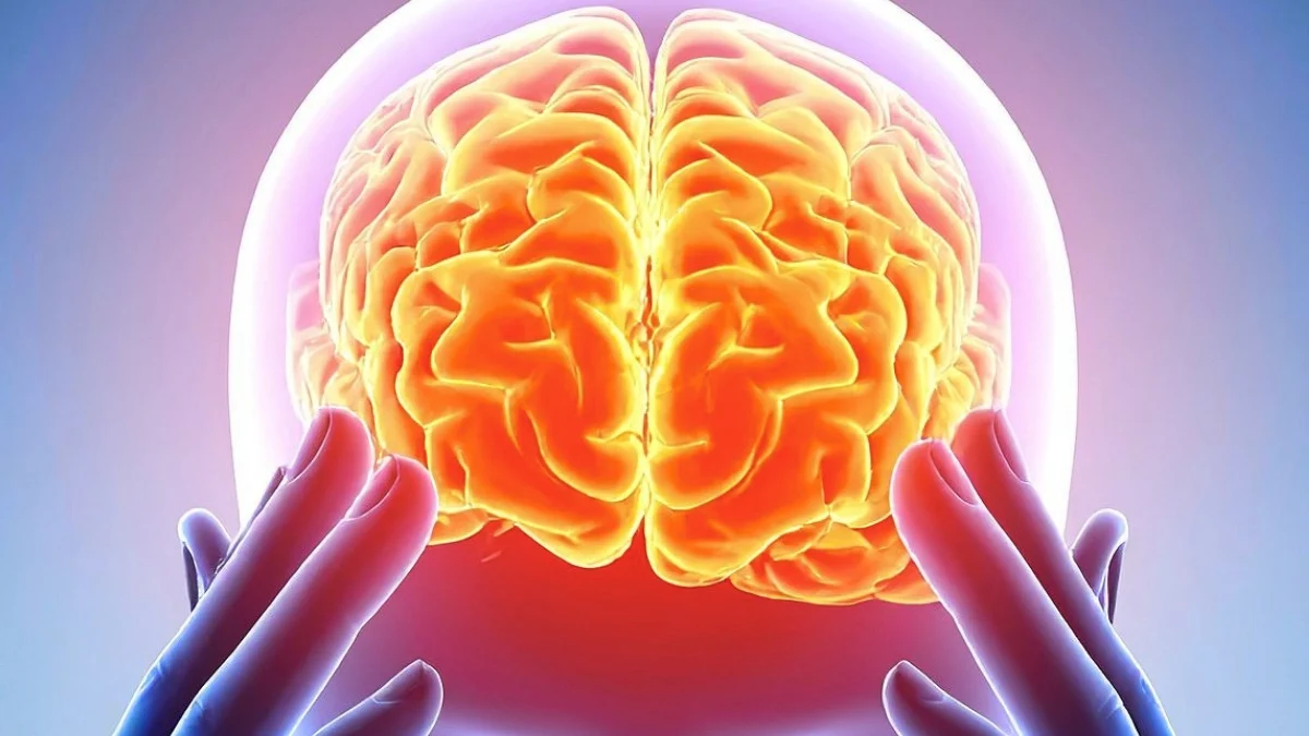 Scientists Found a Common Brain ‘Fingerprint’ Across 5 Psychedelics : ScienceAlert