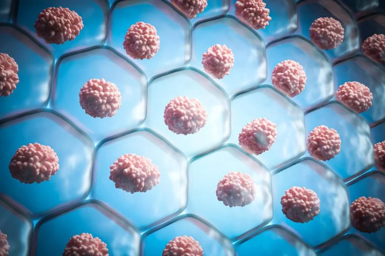 Scientists Discover New Way To Eliminate “Zombie Cells” Driving Aging