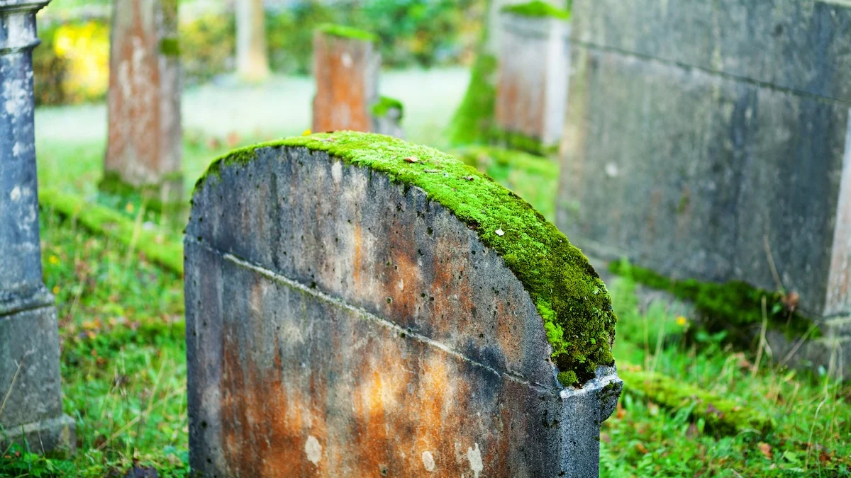 A Piece of Moss Helped Investigators Prosecute a Grave-Robbing Ring : ScienceAlert