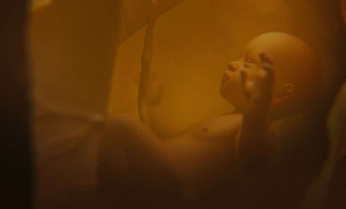 New Study Shows Why Having Babies in Space May Not Work as Scientists Expected