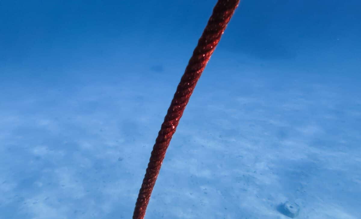 Scientists Dropped a 10-Kilometer Underwater Cable and It Detected 56,000 Hidden Events Beneath Glaciers