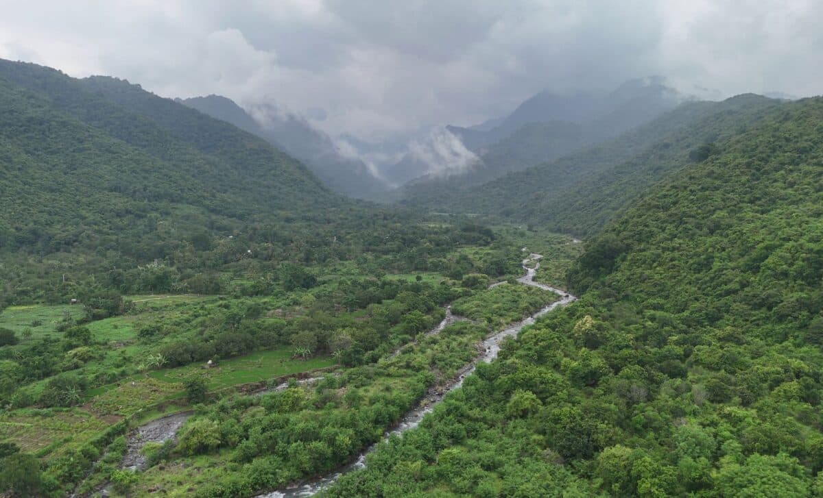 Scientists Found a Fossil Along a River in China, and It Seems to Have Solved a 160-Million-Year-Old Mystery