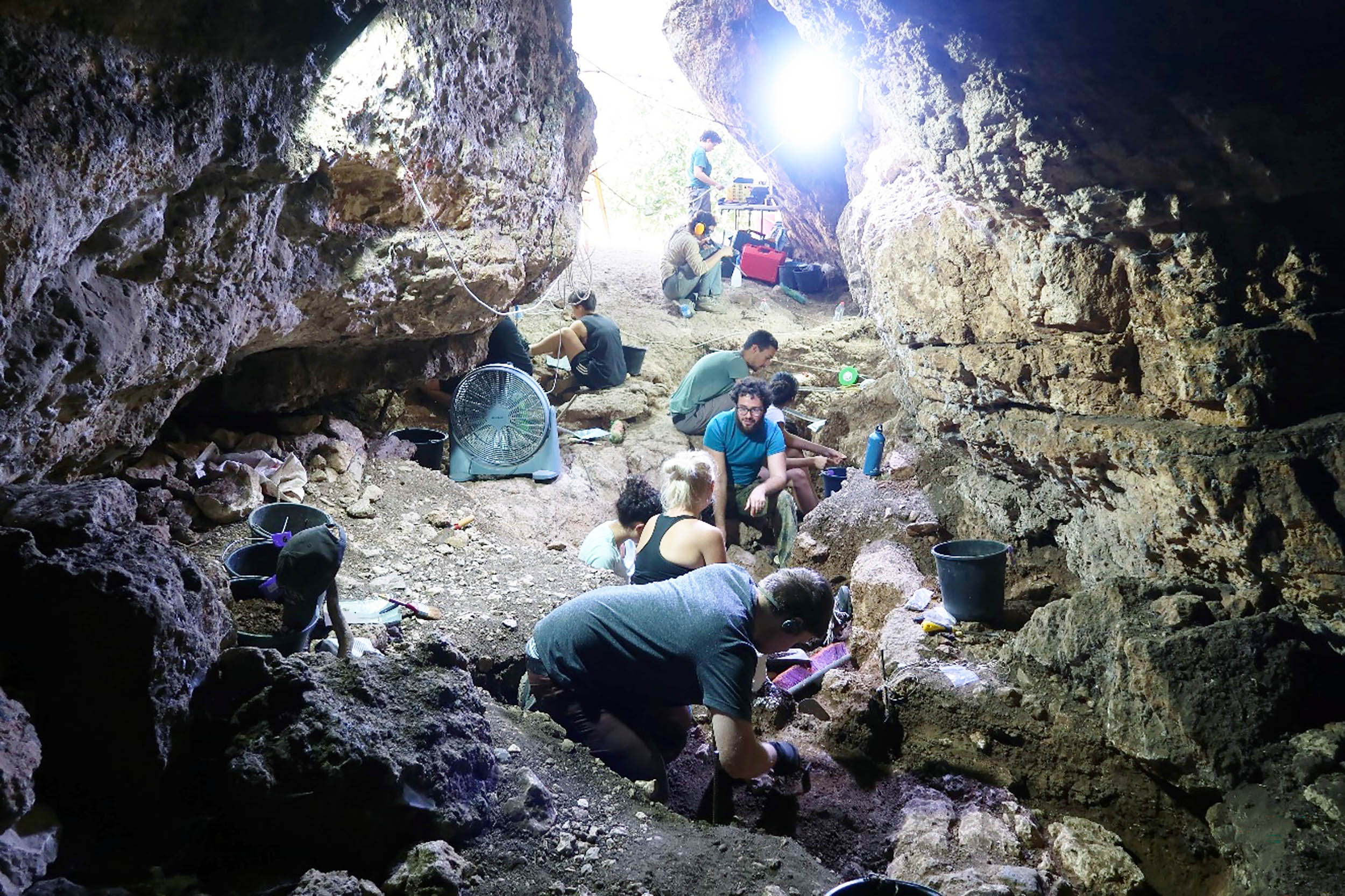 Neanderthals and humans were partners in survival, not enemies