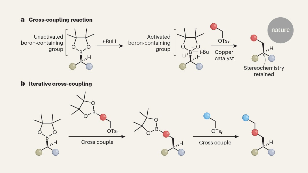 Mix-and-match synthesis of 3D small molecules