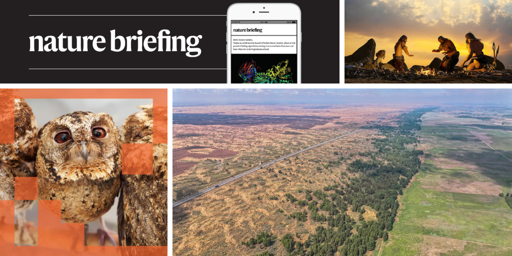 AI systems can ‘teach’ biases to other models