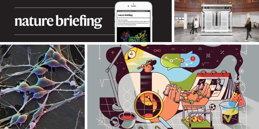 Daily briefing: Is a nine-to-five PhD possible?