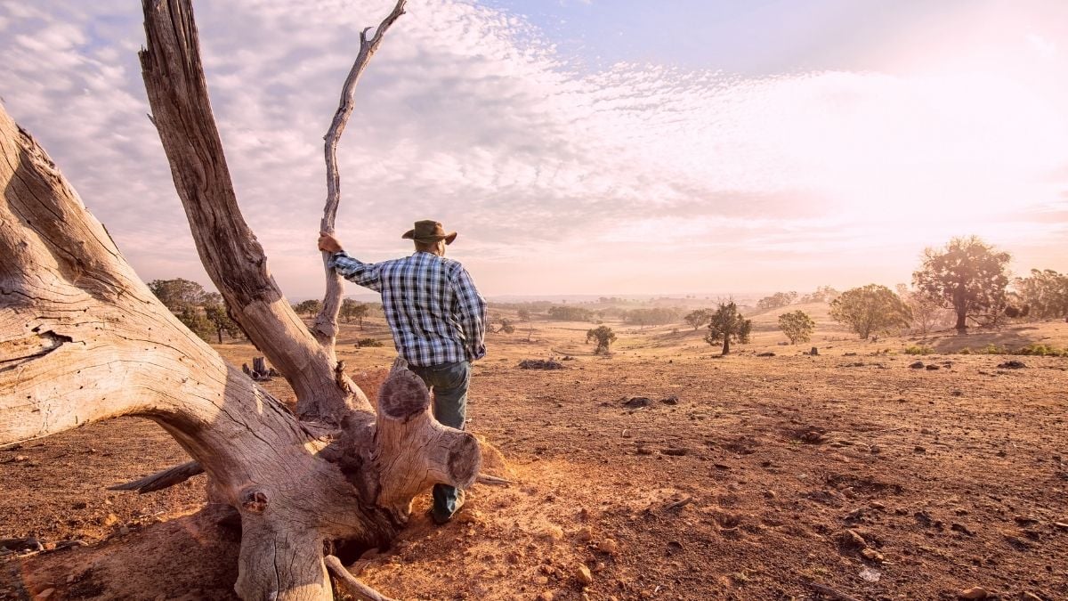 Droughts Are The Ideal Breeding Ground For Antibiotic-Resistant Bacteria, Study Warns : ScienceAlert
