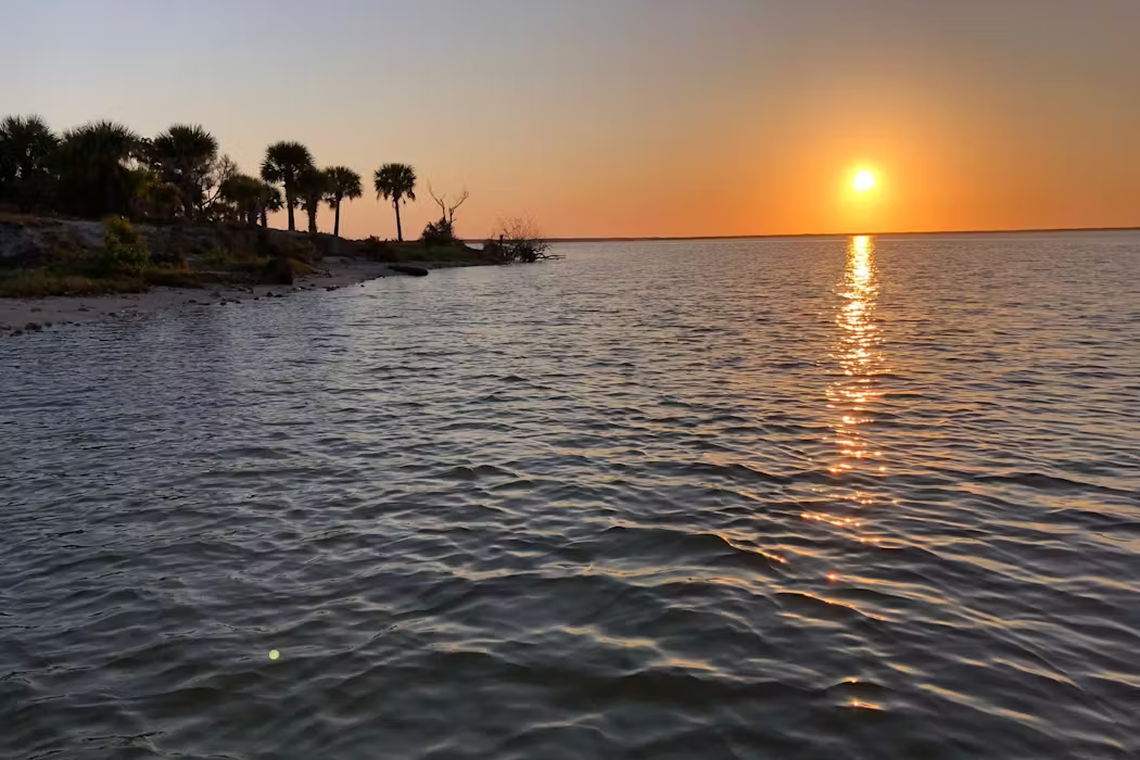 Hurricanes devastated Florida’s East Coast – then seagrass made an unexpected comeback