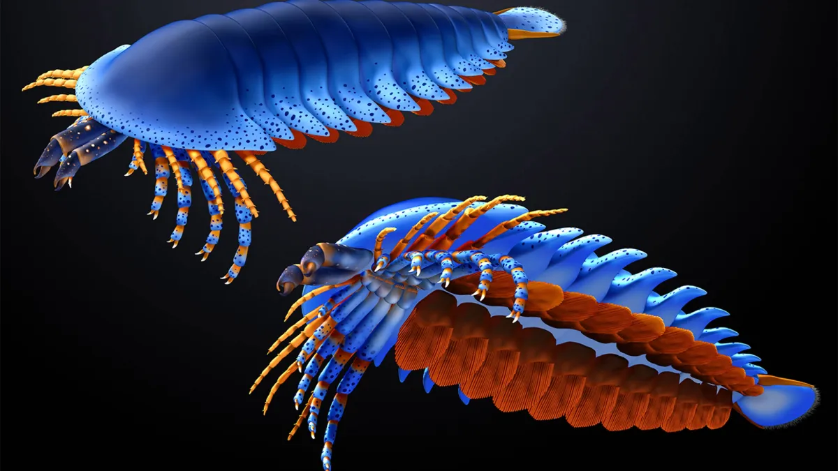 500-million-year-old spider relative has claws where it shouldn’t