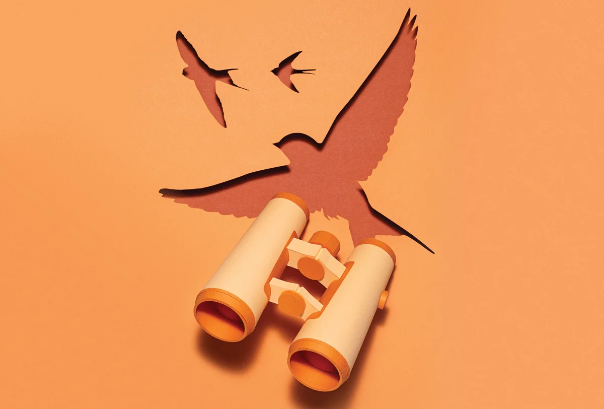 Expensive versus affordable binoculars—what’s the difference?