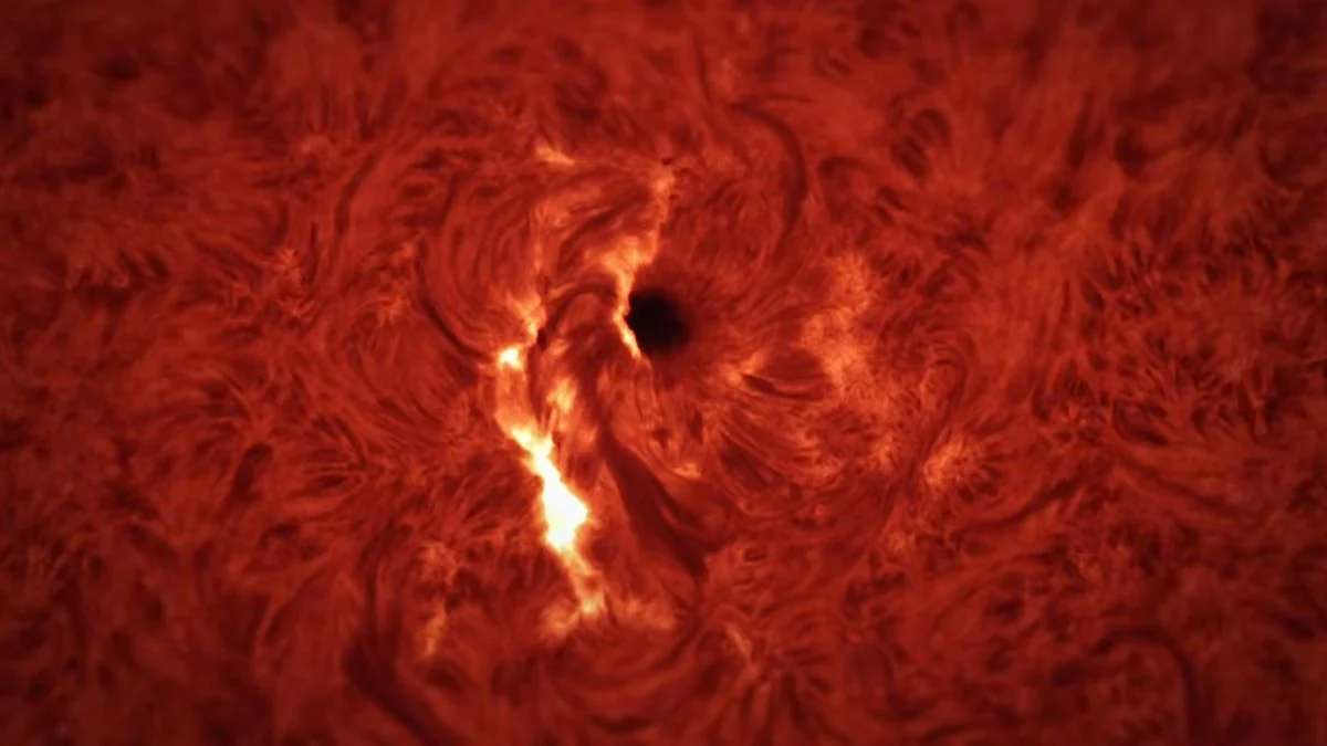 The ‘Sound’ of a Flare Erupting From The Sun Is an Unnerving Horror : ScienceAlert