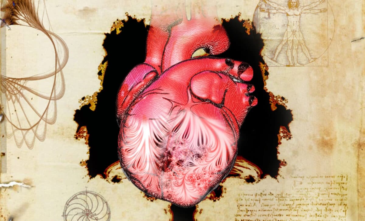 Leonardo da Vinci Drew This Part of the Human Heart 500 Years Ago, and Scientists Just Solved the Mystery He Left Behind