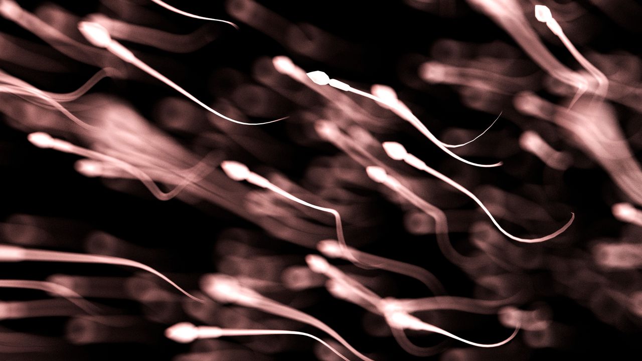Sperm quality may change with the seasons, study finds