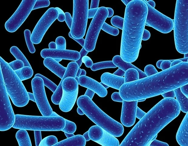 Ancient unicellular organism offers clues to animal origins