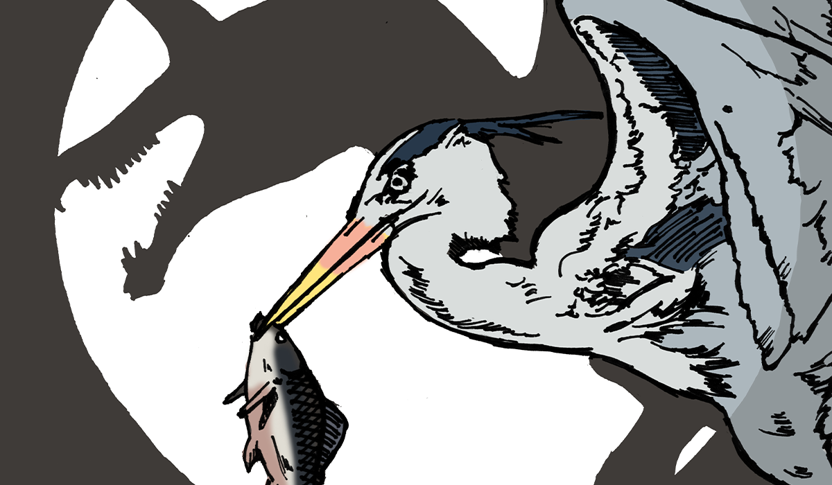 Hell Heron: An Illustrated Story