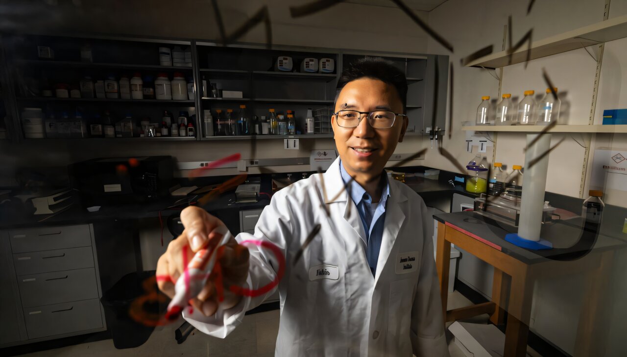 AI brews a caffeine-powered safety switch for future cell therapies
