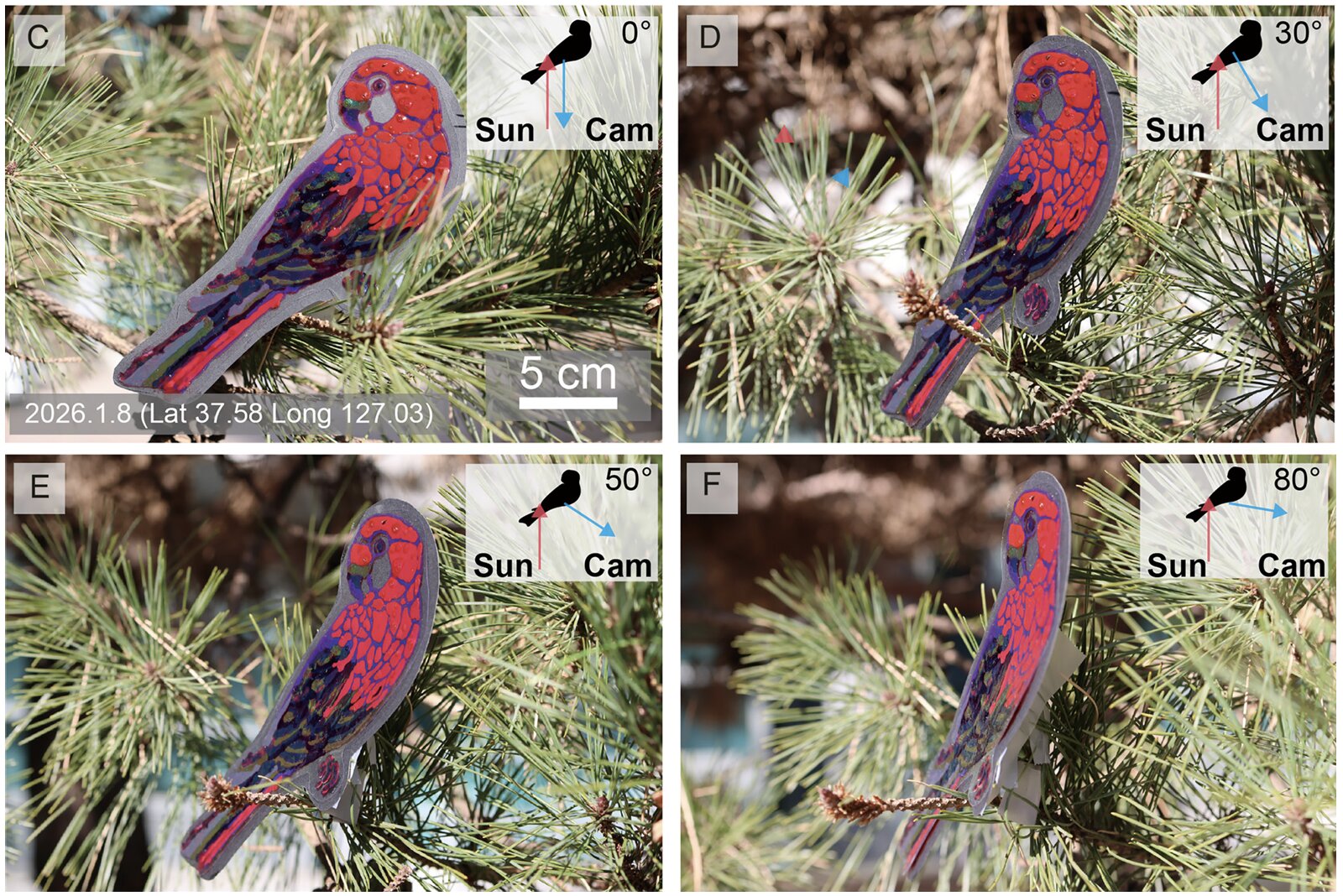 Gold nanoparticles unlock vibrant structural colors across the visible spectrum