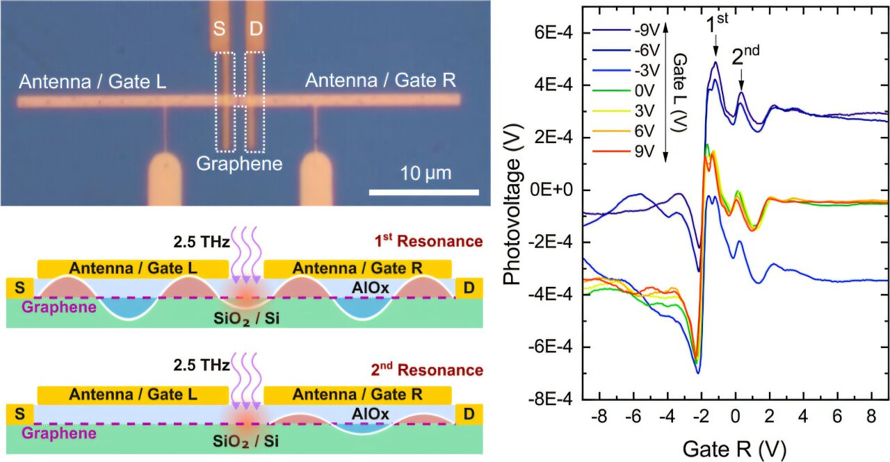 Graphene plasmon cavities enable advanced and scalable terahertz photodetectors