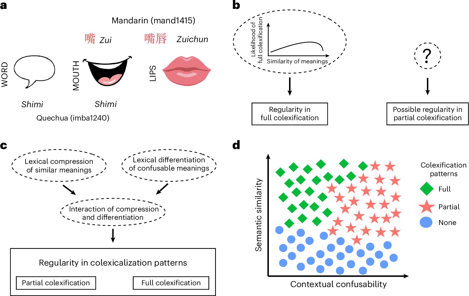 How languages recycle parts of words to avoid confusion
