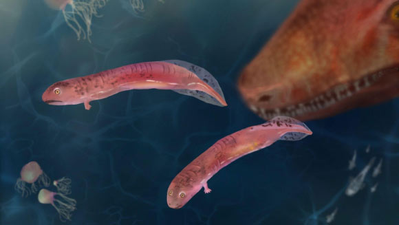 Earth’s First Land Animals May Never Have Been Amphibian-Like After All