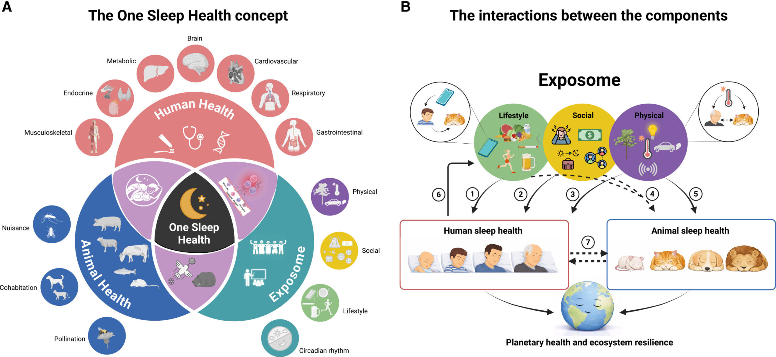 Poor sleep threatens health, society and the economy