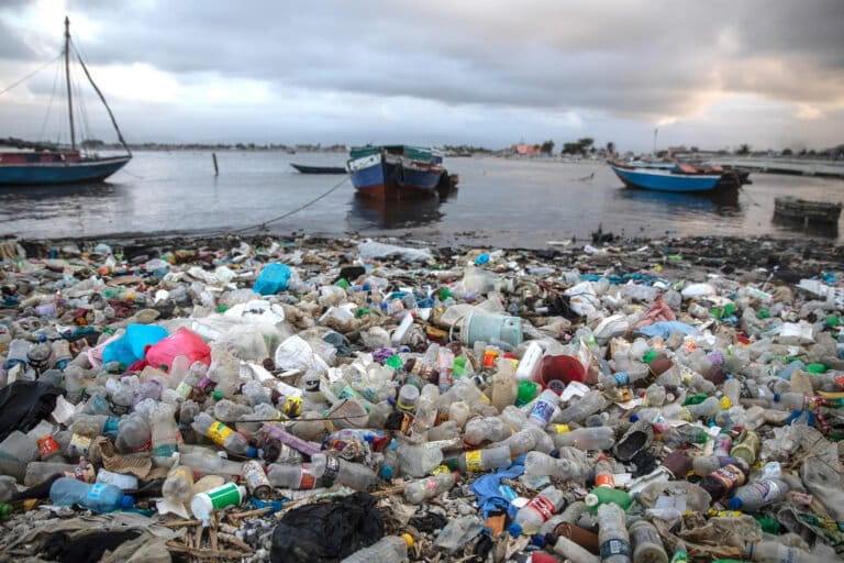 Plastic food packaging blankets the world’s coastlines, study finds