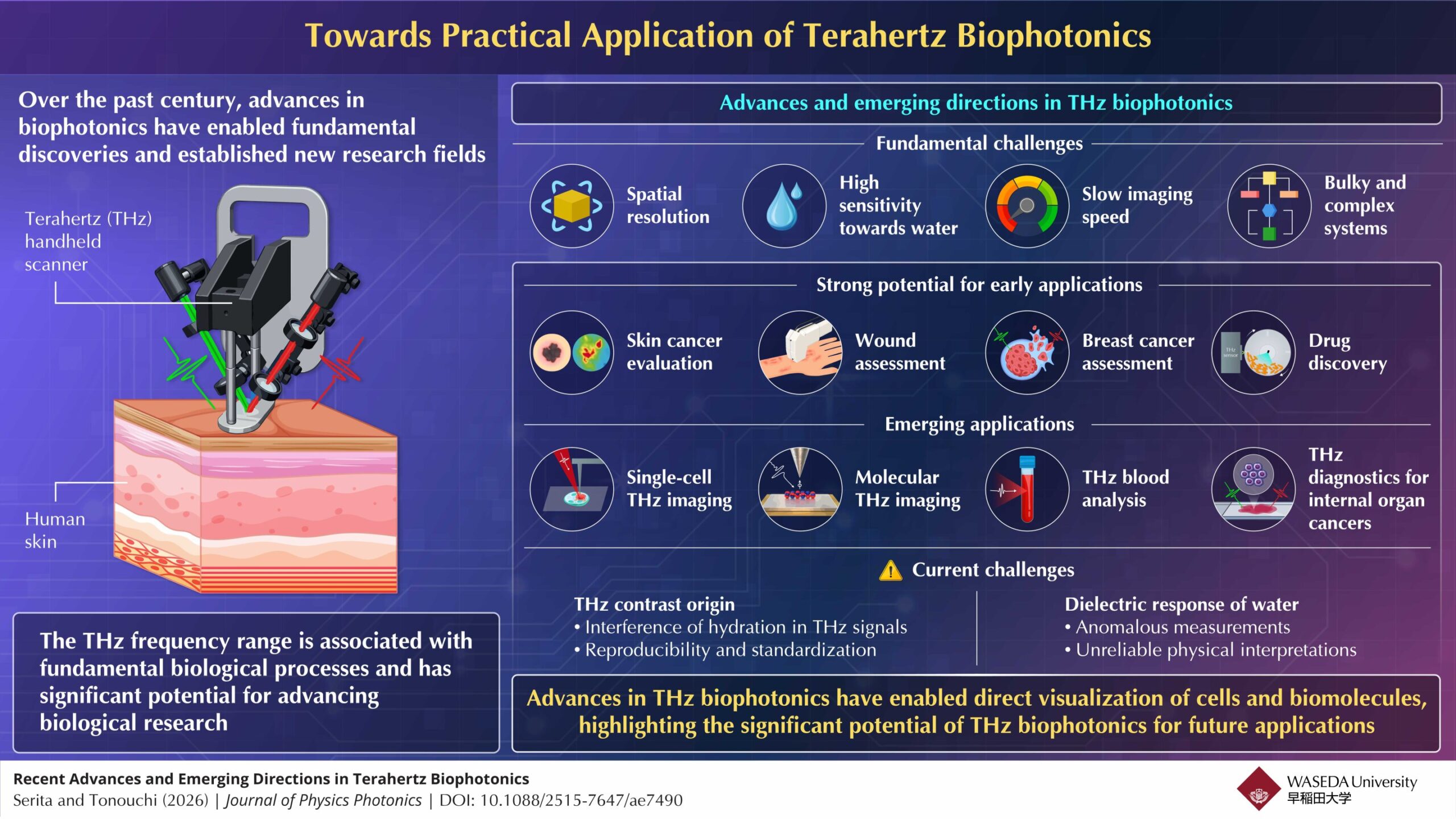 Terahertz biophotonics: Understanding the path towards practical applications for biological imaging