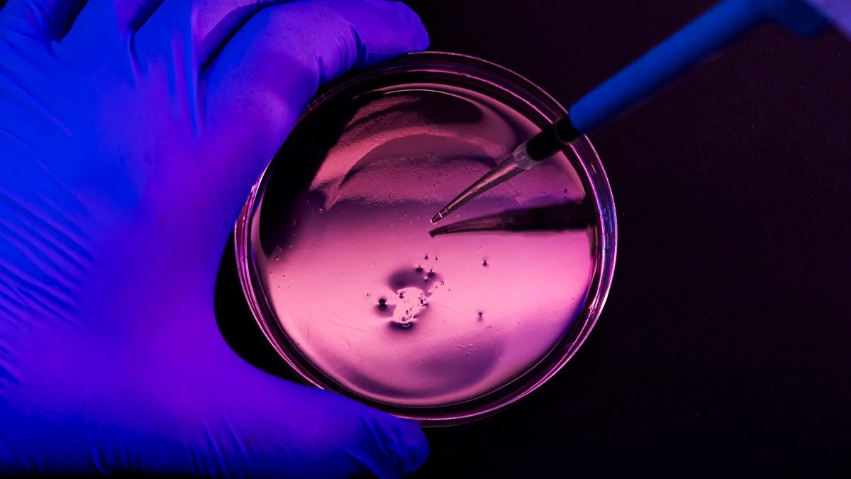 A Last-Resort Antibiotic Is Losing The Battle Against a Dangerous Hospital Bug : ScienceAlert