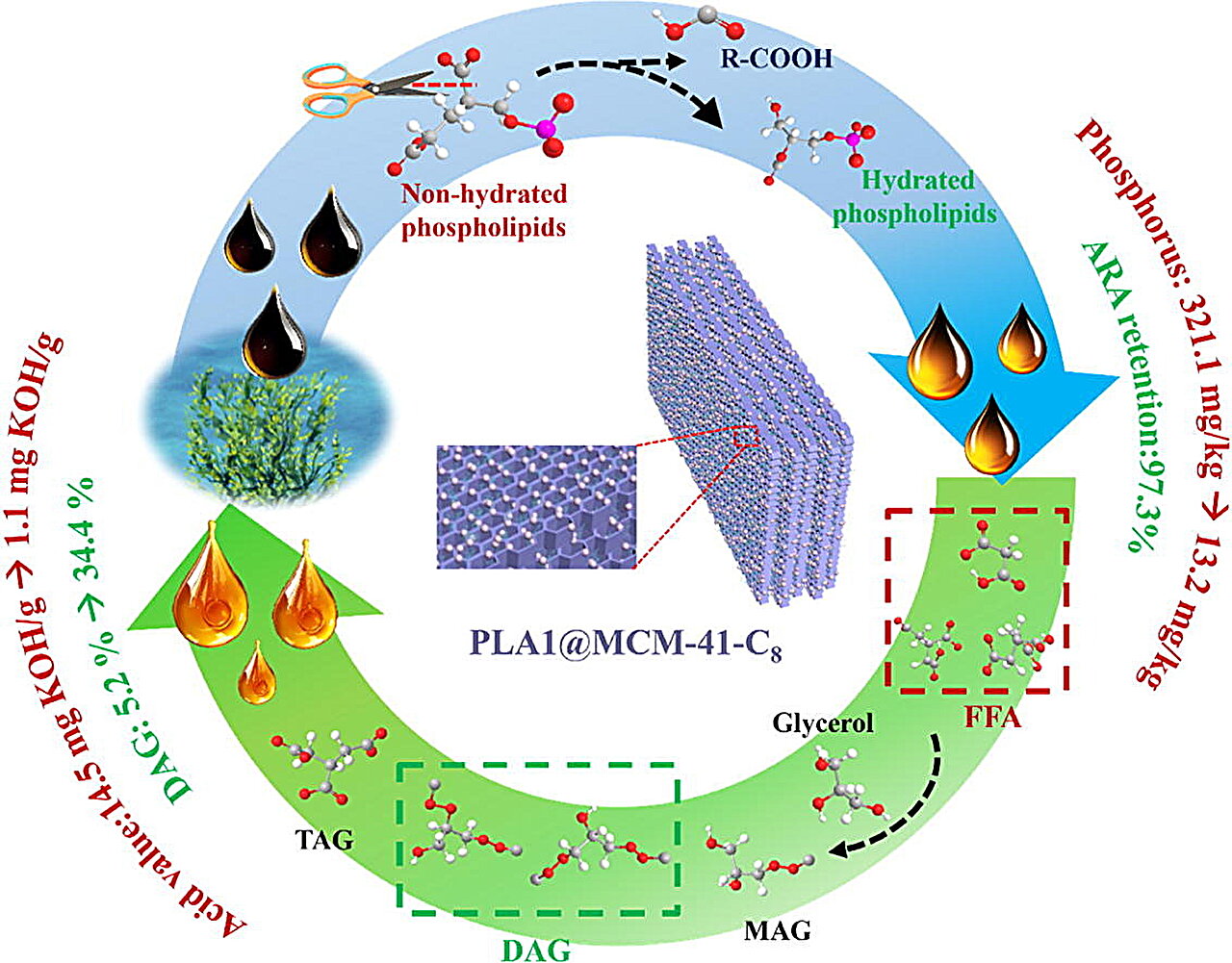 Mild enzymatic method gently refines algae oil for nutrition products